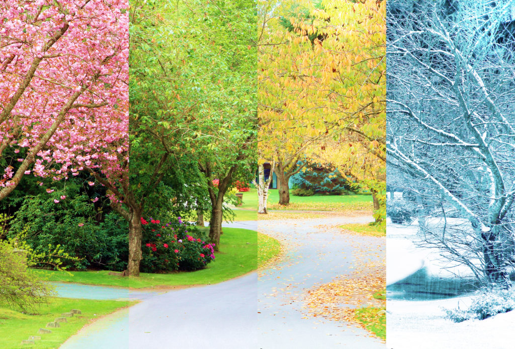 Japan has four seasons to enjoy in which spring, summer, autumn, and winter are almost equal in length.